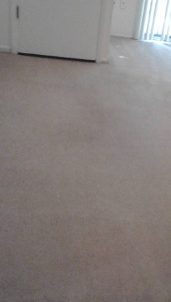 Carpet Cleaning Services